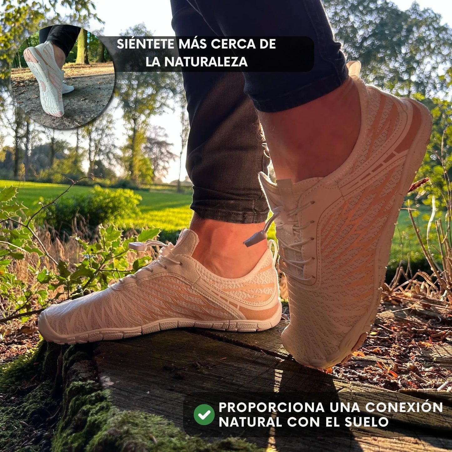 Camina Con Libertad y Bienestar. Descubre El Nuevo Movimiento Con Lorax Pro